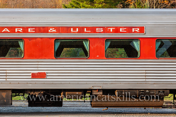 Photograph of trains at the Delaware and Ulster Railroad in Arkville, New York.
