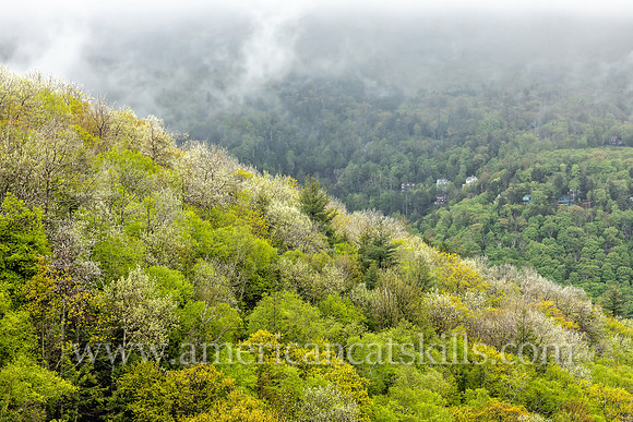Scenic photograph of springtime in Kaaterskill Clove in the northern Catskills.