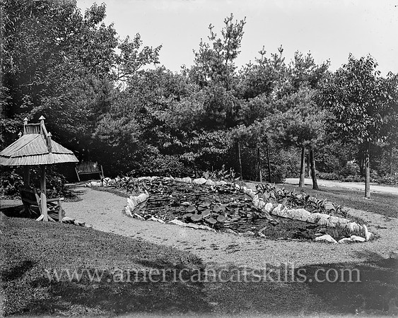 [Lake Mohonk House, N.Y., the lilypond]