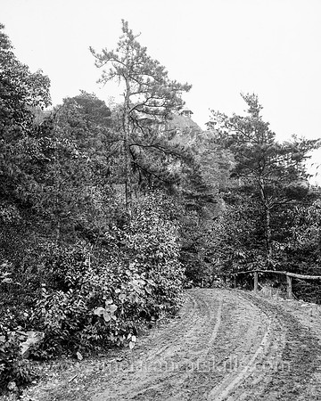 A Driveway, Lake Mohonk, N.Y.