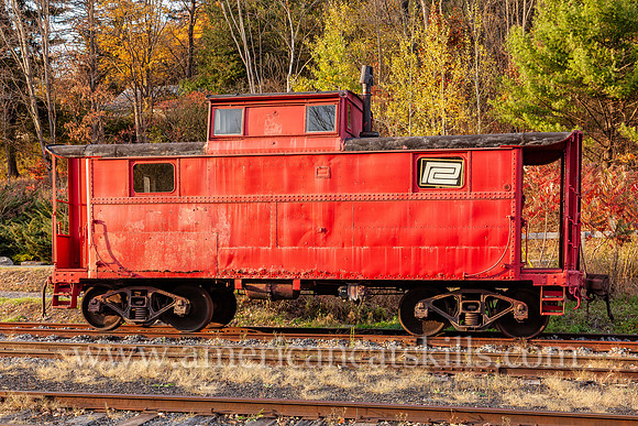 Photograph of trains at the Delaware and Ulster Railroad in Arkville, New York.