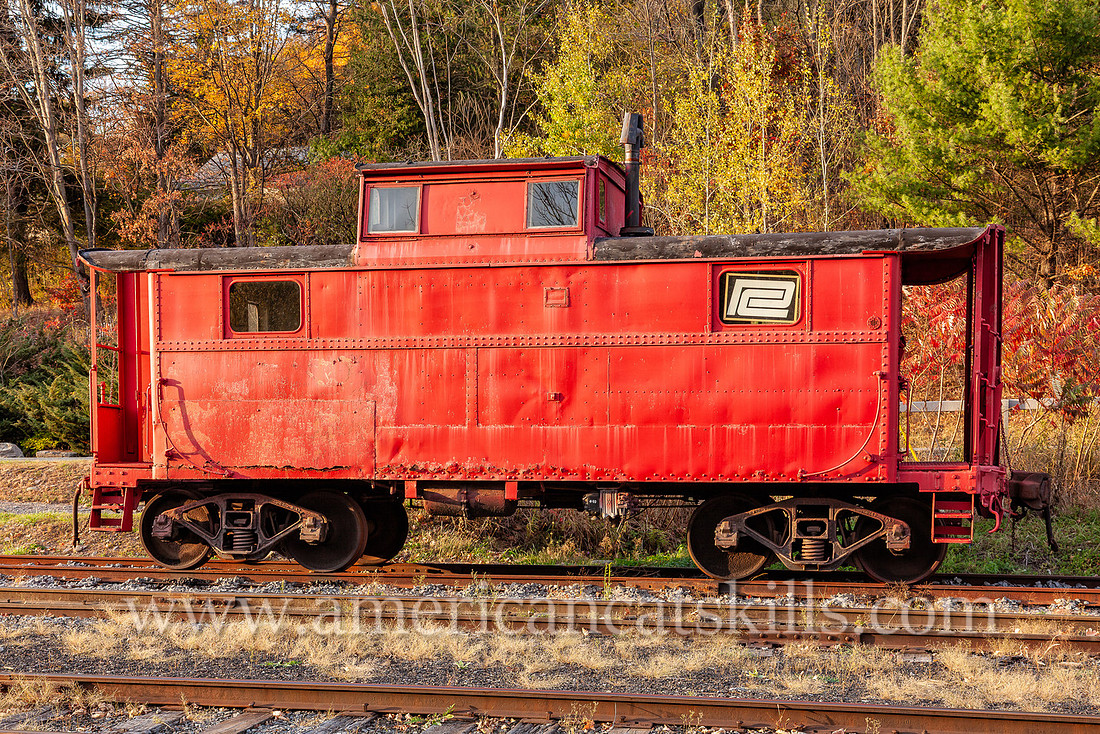 Photograph of trains at the Delaware and Ulster Railroad in Arkville, New York.