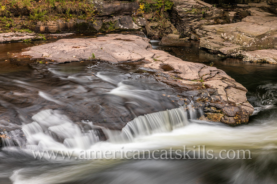 Along the Neversink