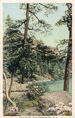 C114 - 114g_Lake Shore, Lake Minnewaska, N.Y.
