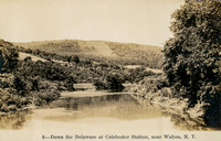 8_Down the Delaware at Colchester Station, near Walton, N.Y.