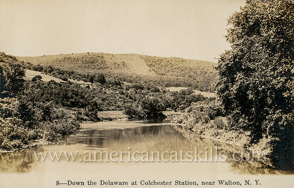 8_Down the Delaware at Colchester Station, near Walton, N.Y.