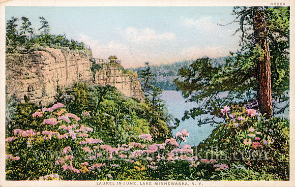 80200_Laurel in June, Lake Minnewaska, N.Y.