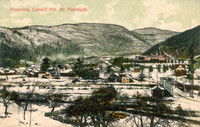Postcard titled "Phoenicia, Catskill Mts. By Moonlight" published by the Barton and Spooner Company in Cornwall-on-Hudson, New York.