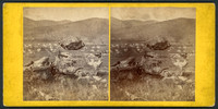 Stereoview titled "Looking Down on Walton from Round Rock, Walton" by photographer J. J. Cornish of Walton, New York.