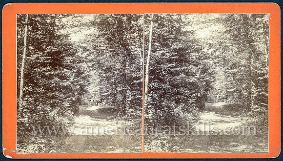 45_View of Roadway to Mount Jefferson
