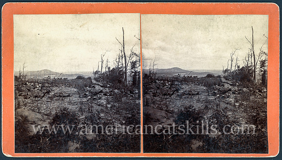 Landscape View