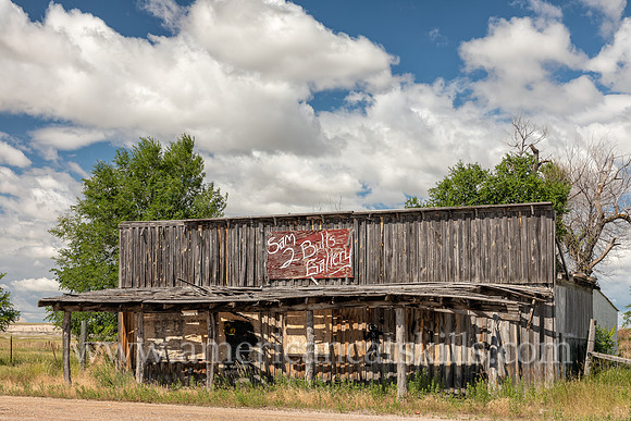 Sam 2 Bulls Gallery