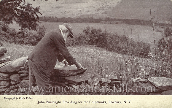 John Burroughs Providing for the Chipmunks, Roxbury, N.Y.