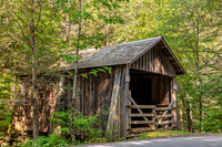 Most Recent – Catskills