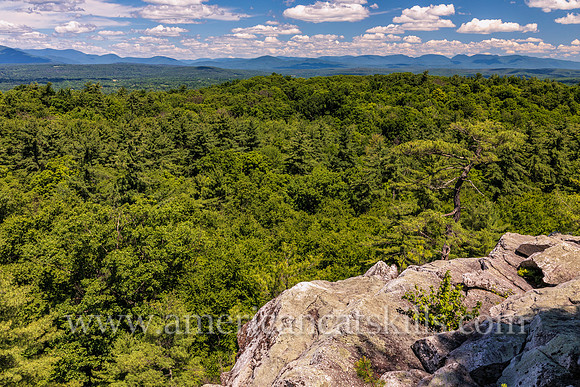 Photograph from the Northeast Trail located on the lands of the Mohonk Mountain House and the Mohonk Preserve in Ulster County, New York.