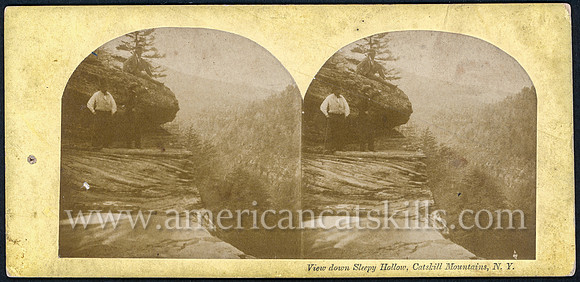 View down Sleepy Hollow, Catskill Mountains, N.Y.