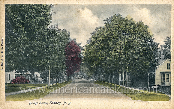 Photograph by B. E. Pudney titled "Bridge Street, Sidney, N.Y."