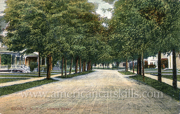 Photograph by B. E. Pudney titled "Liberty Street, Sidney, N.Y."