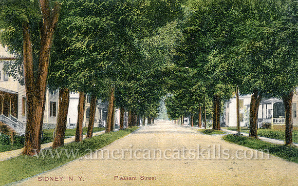Photograph by B. E. Pudney titled "Pleasant Street, Sidney, N.Y."