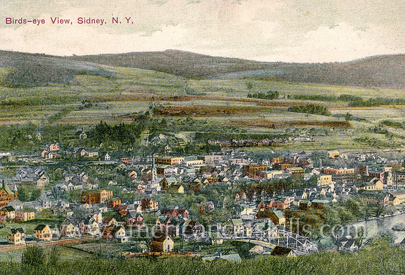 Birds-eye View, Sidney, N.Y.