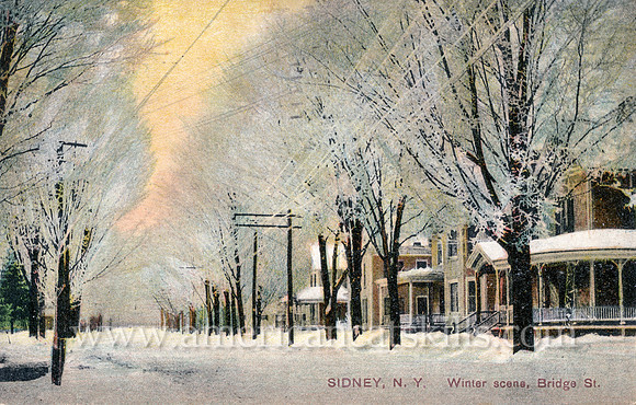 Winter scene, Bridge St., Sidney, N.Y.