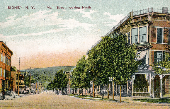Main Street, looking North, Sidney, N.Y.