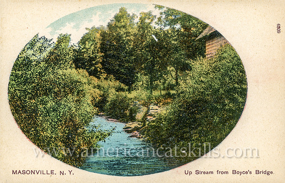 Up Stream from Boyce's Bridge, Masonville, N.Y.