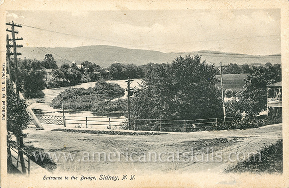 Entrance to the Bridge, Sidney, N.Y.
