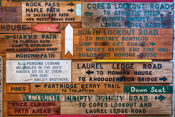 So Many Trail Options