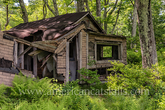 Photograph of an abandoned berry picker cabin in the Shawangunks near Sam’s Point in Minnewaska State Park Preserve.