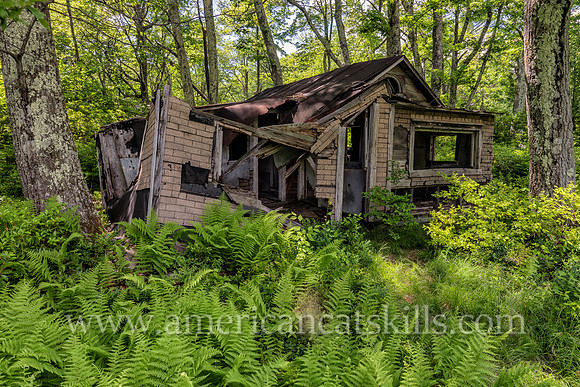 Photograph of an abandoned berry picker cabin in the Shawangunks near Sam’s Point in Minnewaska State Park Preserve.