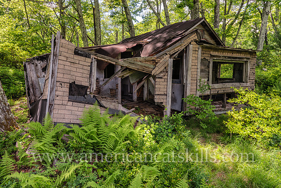 Photograph of an abandoned berry picker cabin in the Shawangunks near Sam’s Point in Minnewaska State Park Preserve.