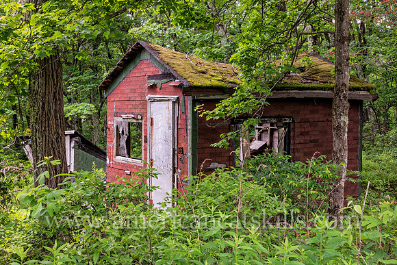 Photograph of an abandoned berry picker cabin in the Shawangunks near Sam’s Point in Minnewaska State Park Preserve.