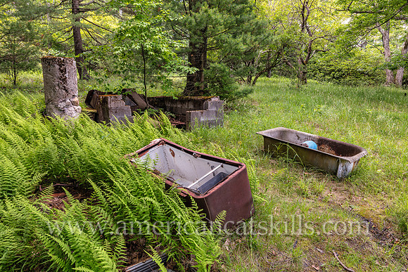 Photograph of an abandoned berry picker cabin in the Shawangunks near Sam’s Point in Minnewaska State Park Preserve.