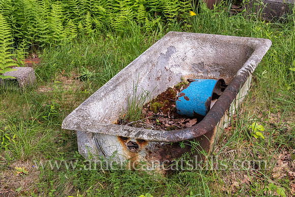 Photograph of an abandoned berry picker cabin in the Shawangunks near Sam’s Point in Minnewaska State Park Preserve.