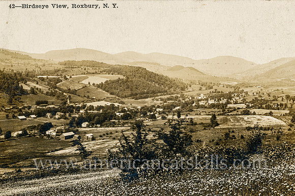 42_Birdseye View, Roxbury, N.Y.