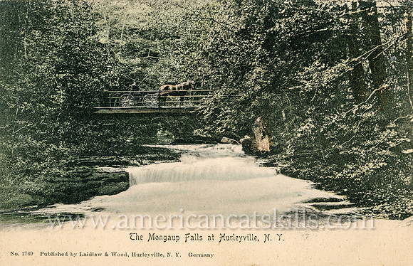 Vintage postcard titled "The Mongaup Falls at Hurleyville, N. Y." published by the photographic firm of Laidlaw and Wood of Hurleyville, New York.
