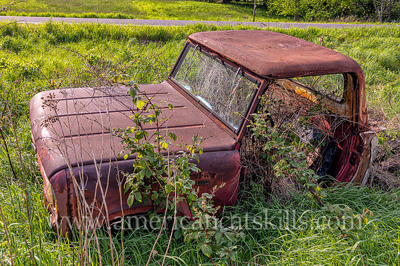 Truck Brambles