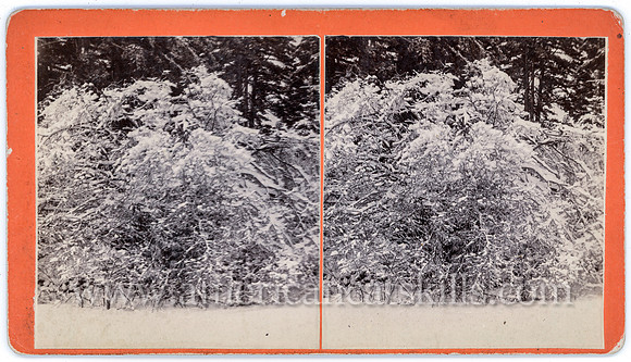 64_Winter Scene