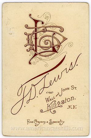Logo, T. D. Lewis, Kingston, New York Photographer