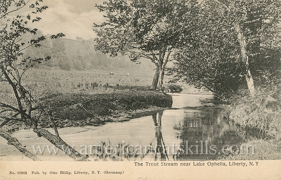 Vintage photo by Otto Hillig titled “The Trout Stream near Lake Ophelia, Liberty, N.Y.”