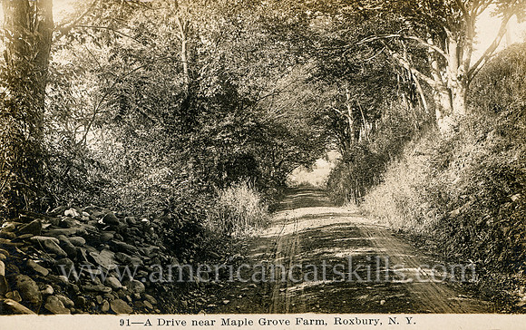 91_A Drive near Maple Grove Farm, Roxbury, N. Y.