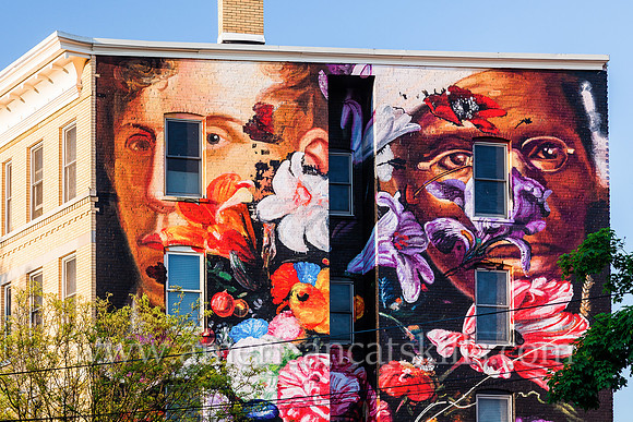 The large scale mural titled Pronkstilleven was created by Gaia, a Baltimore based artist and muralist, in 2015 as part of the 6th annual O+ festival in Kingston.