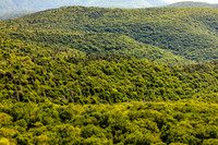 The Giant Ledge hike offers some of the best views in the Catskills.