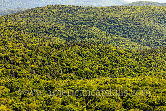 The Giant Ledge hike offers some of the best views in the Catskills.