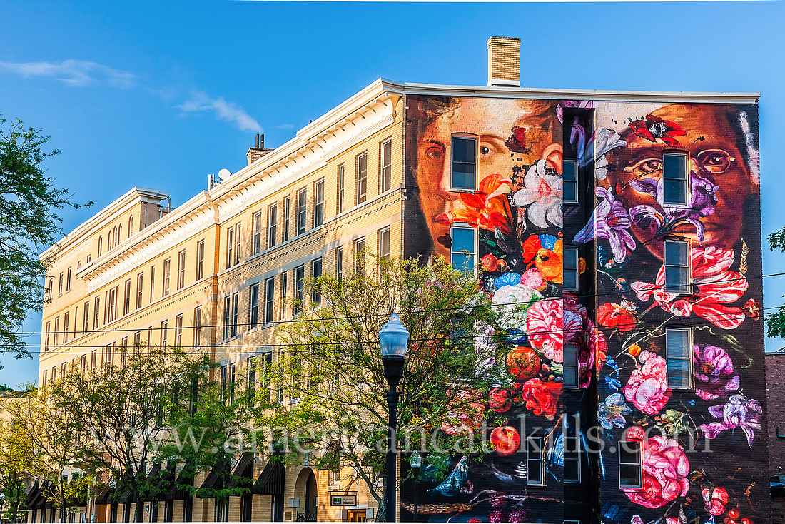 The large scale mural titled Pronkstilleven was created by Gaia, a Baltimore based artist and muralist, in 2015 as part of the 6th annual O+ festival in Kingston.