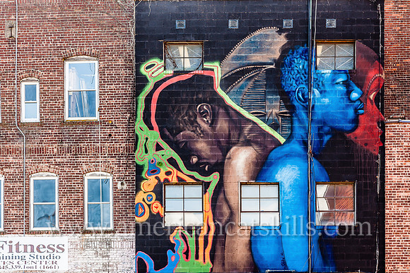 The large scale mural titled Know Thyself was created by artist and Baltimore resident Ernest Shaw, Jr. in 2015 as part of the 6th annual O+ festival.
