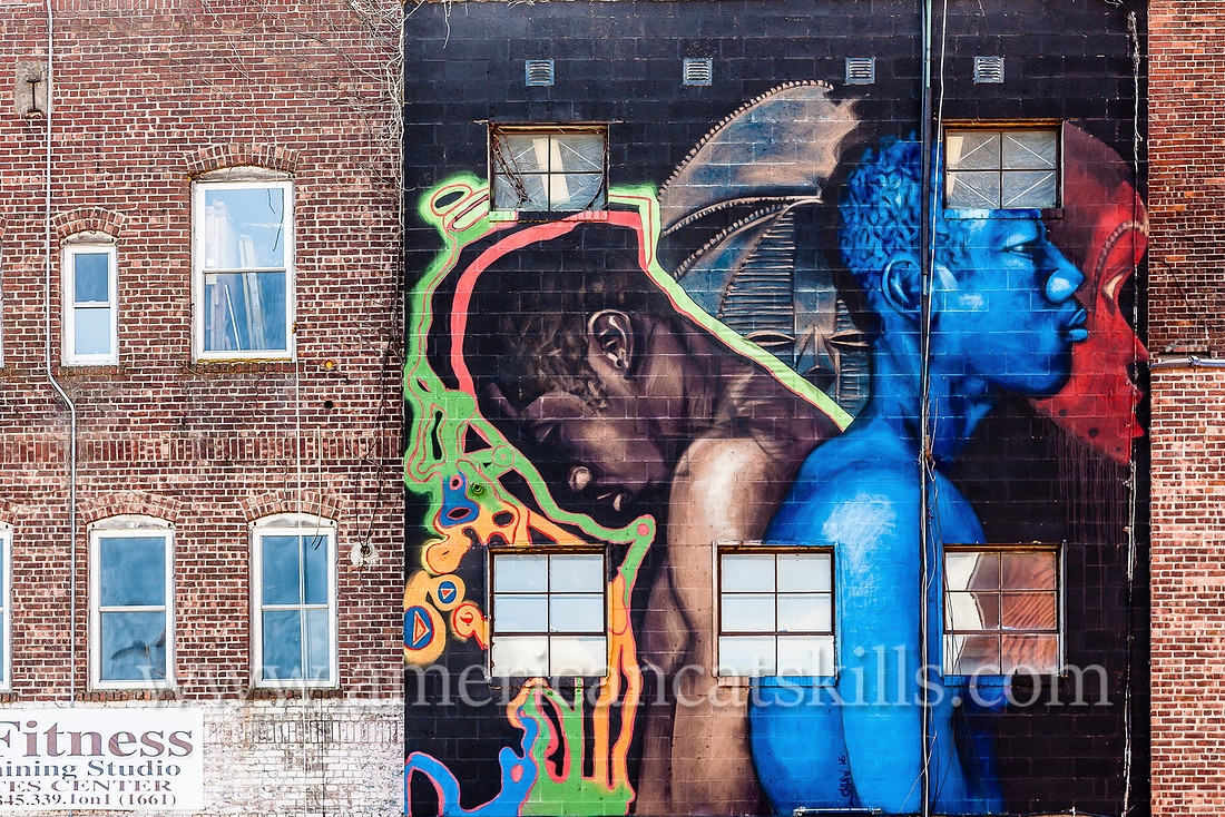 The large scale mural titled Know Thyself was created by artist and Baltimore resident Ernest Shaw, Jr. in 2015 as part of the 6th annual O+ festival.