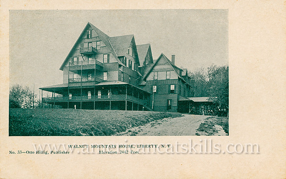 Vintage photograph titled "Walnut Mountain House, Liberty, N. Y." published by photographer Otto Hillig of Liberty, New York.