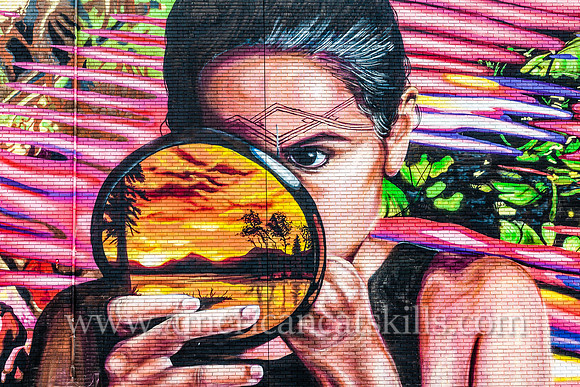 The large scale, incredibly vibrant mural titled Anos de Soledad was created by artists Mata Ruda, Nanook and Lunar New Year in 2015 as part of the 6th annual O+ festival in Kingston.